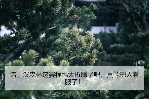 nuo-ding-han-sen-lin-zhe-sai-cheng-ye-tai-zhe-teng-le-ba-zhen-neng-ba-ren-kan-fu-le-2-546.jpg