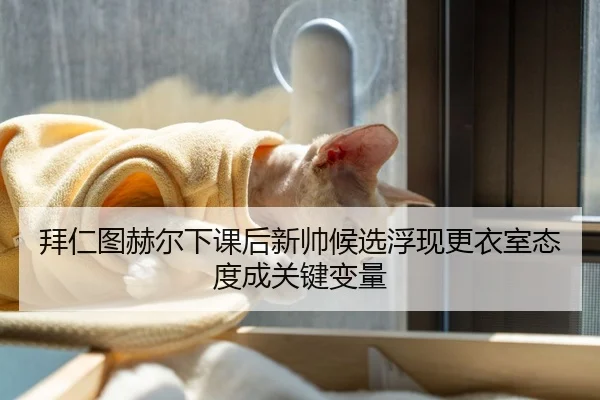 拜仁图赫尔下课后新帅候选浮现更衣室态度成关键变量